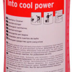 Into cool power Sanitärreiniger – 13538